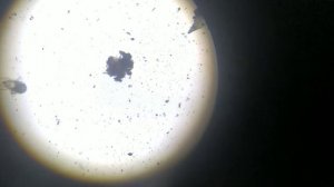 Капля воды под микроскопом