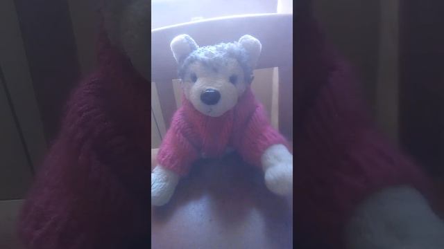 9 ФАКТОВ О ВЗРОСЛЫХ СОБАКАХ И ЩЕНКАХ смотреть онлайн