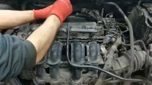 Двигатель Ford для Focus III 2011-2019