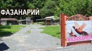 Строящийся фазанарий. Республика Адыгея, п. Гузерипль.