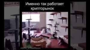 Как работают крипто СМИ