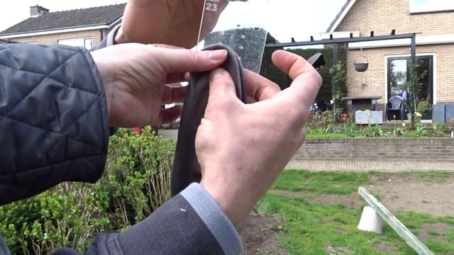 Вес голубых фландров Голландия смотреть онлайн