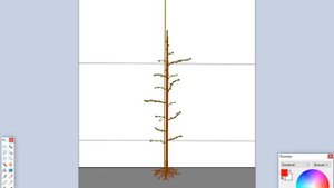 Обрезка яблони, часть 3. Супер веретено в интенсивных сада. Pruning aplle, part 3. Super Spindle.