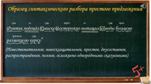 Синтаксический разбор простого предложения 8 класс