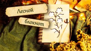 Как сделать блокнот своими руками | переплёт для блокнота