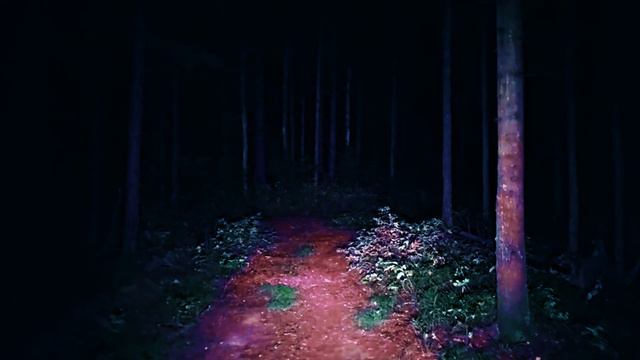 The Backrooms - Уровень А-93 "Сладкий вкус гнили…" смотреть онлайн