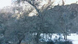 Кыргызстан Баткен облусу Кадамжай району Майдан айыл окмоту Лангар жайлоосу