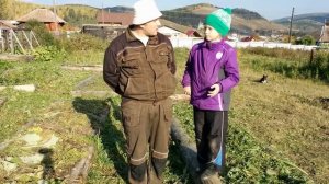 Умный огород. Высокие теплые грядки. Итоги года