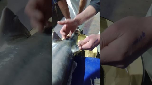 прибыла икра форели смотреть онлайн