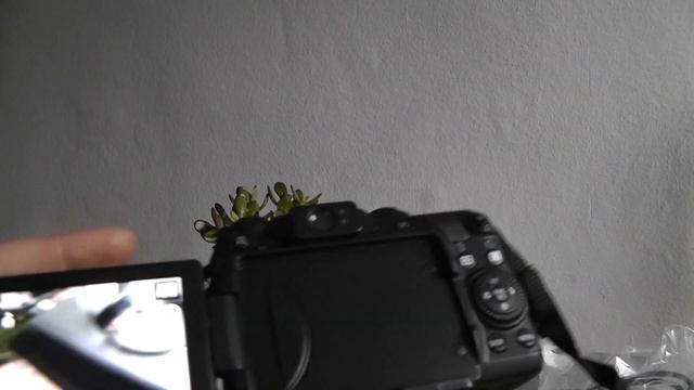 Canon powershot G12 for sale смотреть онлайн