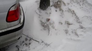 испарение конденсата на M47