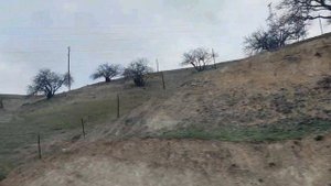 Ответ за Брянск. Свежая сводка на 09.03.20223. Что произошло сегодня