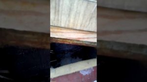 Подогрев маточника для кроликов зимой.