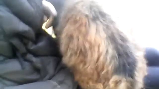 Мёдом намазано. смотреть онлайн