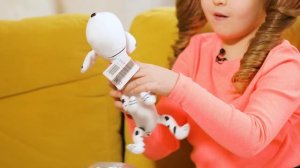 Игрушки Кукла ЦАРЕВНА и Собачка Бона - Поиграйка с Царевной