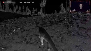 Что может Шанта? [The Isle Legacy] СТРИМ