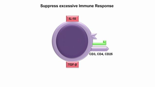 USMLE RX - 6.Иммунология - 1.Клеточные компоненты - 11.Регуляторные Т-Клетки