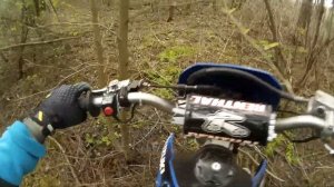Suzuki RMX 250