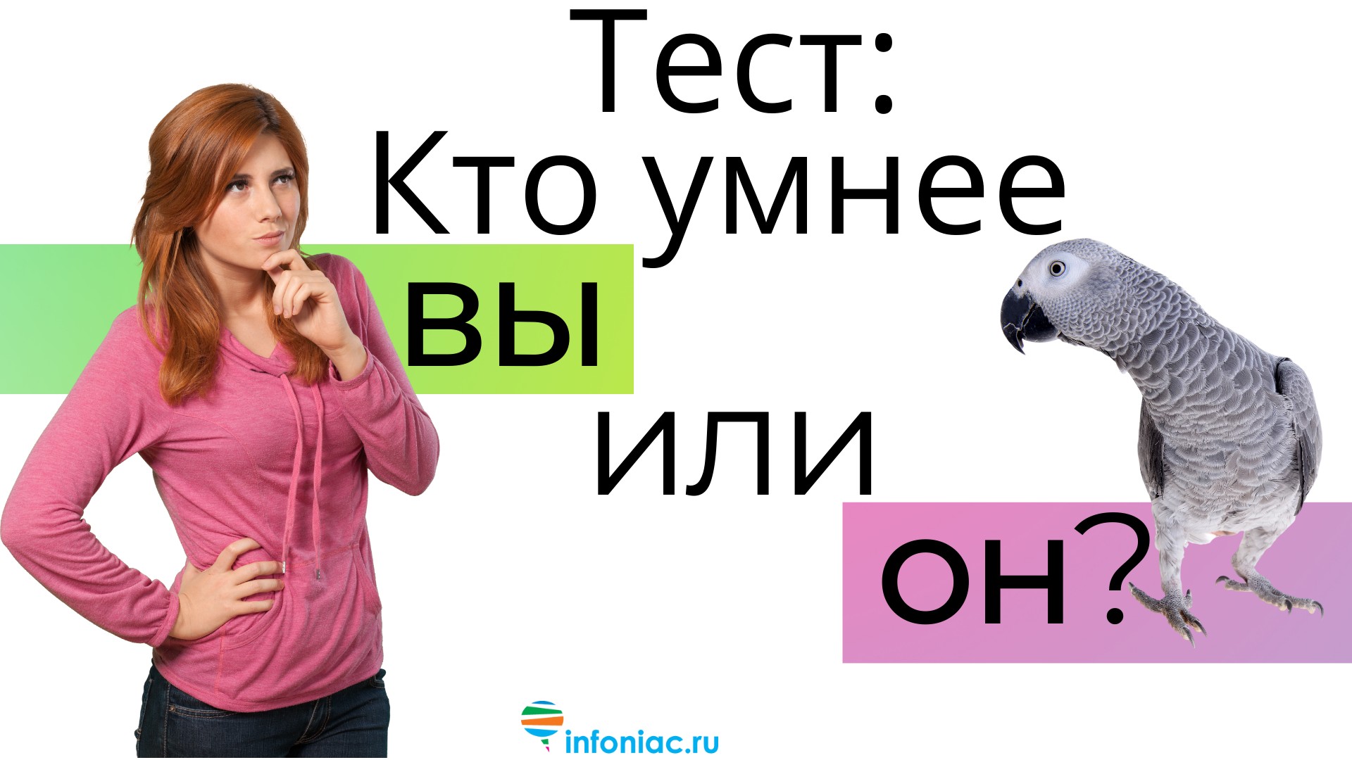 Тест: Умнее ли Вы серого попугая