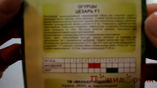Семена Огурца Цезарь - Помидорчик смотреть онлайн