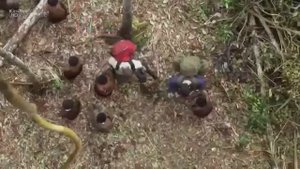 Африка. Джунгли.Племя КОМБАЙ. Дикая природа. Жизнь вне цивилизации