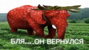 клубничный слон