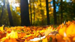 Н.Караченцов и Журга ...Дни сентября