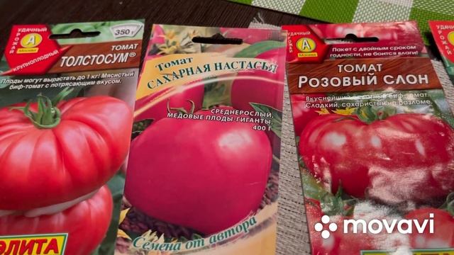 Томаты, как выбрать семена урожайных томатов