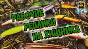 Воды нет не клюёт😡Вода есть не клюёт😡Попсовые точки тихо
