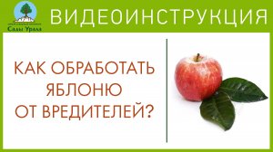 Почему колонновидная яблоня не плодоносит? Вредители и обработка. Телепередача Земля Уральская