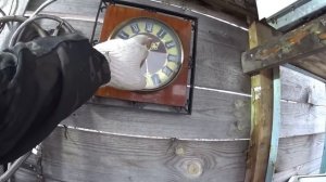 Интересные находки в металлоломе. Работа на участке. Бесплатный стройматериал. Сдал металлолом.