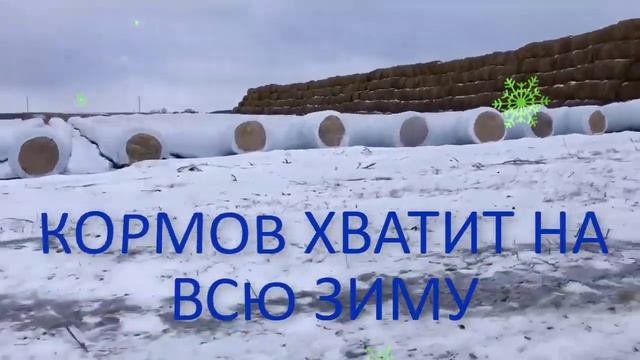 Практические примеры хранения сена и сенажа зимой