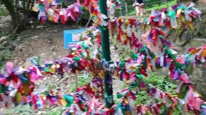 Сочи 2022. 33 водопада + КАВКАЗСКОЕ ЗАСТОЛЬЕ. ЭКСКУРСИЯ. Негативный отзыв о платформе "СПУТНИК"