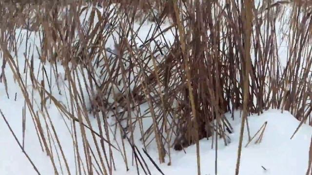 Буран . Снега по руль. смотреть онлайн