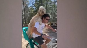 Прикольные приколы #14