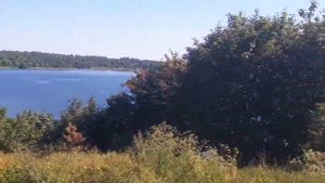 Едем из деревни Синявино на Синявинское озеро