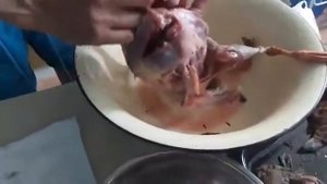 Разделка гуся по якутски