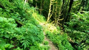 Достопримечательности Сочи ? Лучший маршрут для похода в Сочи ? Водопад Ажек