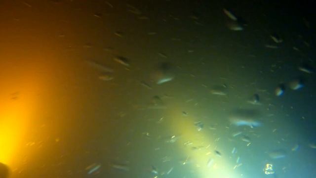 Подводная охота-Канальный сомик.Охота в канеле ГРЭС.Как правильно охотится на канального сомика! смотреть онлайн