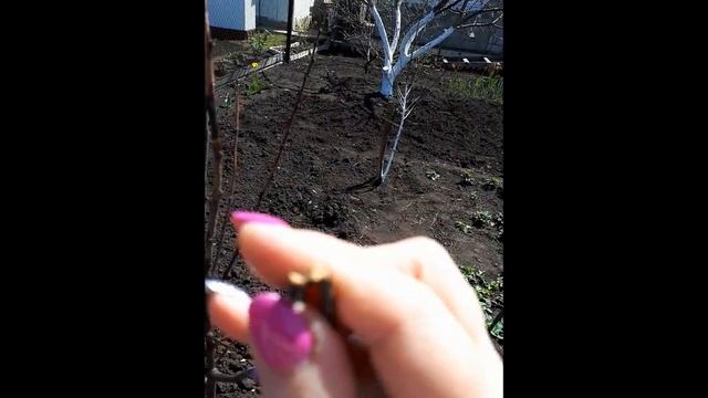 Дачный Vlog/Переделка крыши, пол дачи забетонировали...