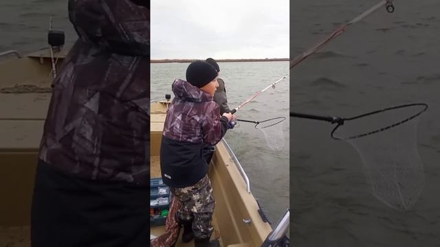 Рыбалка в Астрахани. Любовь с первого раза. смотреть онлайн