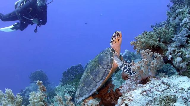 Breakers Soma Bay ‘18 смотреть онлайн