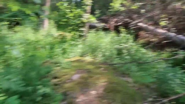 #8 Автостоп. Красноярск Ч.2. Красноярские столбы.
