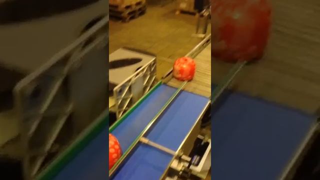 Динамическое взвешивание головок с сыром