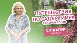 Путешествия по садам мира с Еленой Бойко. Сингапур. Часть 1.