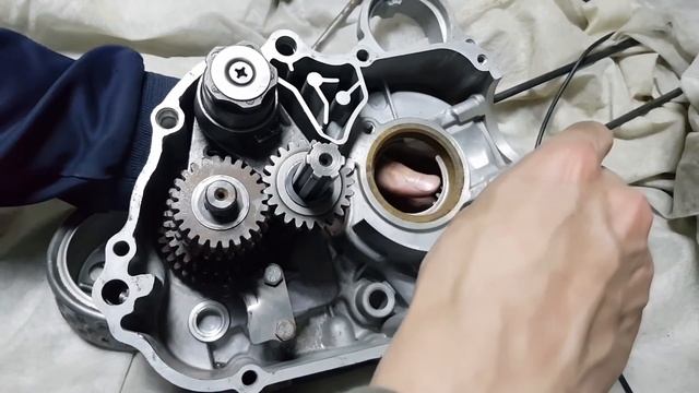 Сборка двигателя мопеда альфа дельта с нуля