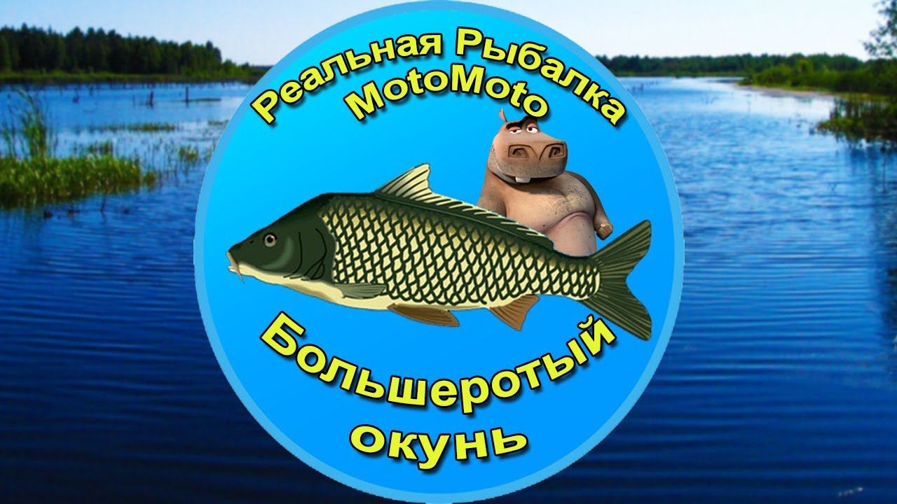 Как поймать Большеротого окуня на Рыбхозе [NEW] | Реальная Рыбалка
