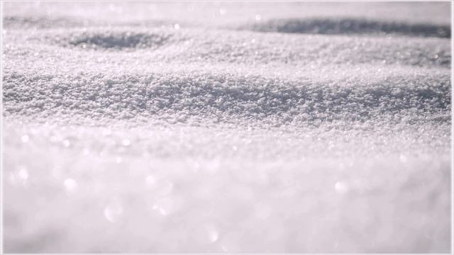 Когда и как сажать морковь под зиму смотреть онлайн