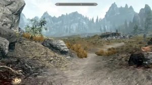 Skyrim Shadow Issue