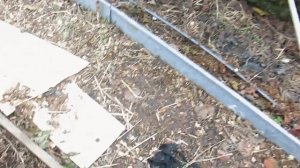 ИСКОРЕНЯЮЩАЯ ОБРАБОТКА ОСЕНЬЮ-САДА ,ВИНОГРАДА, ОТ БОЛЕЗНЕЙ, ОТ ВРЕДИТЕЛЕЙ